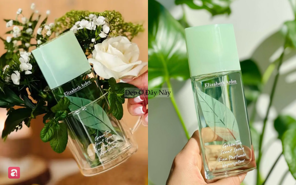 5 chai nước hoa hương hoa cỏ thanh m&aacute;t, rất hợp với m&ugrave;a h&egrave;- Ảnh 6.