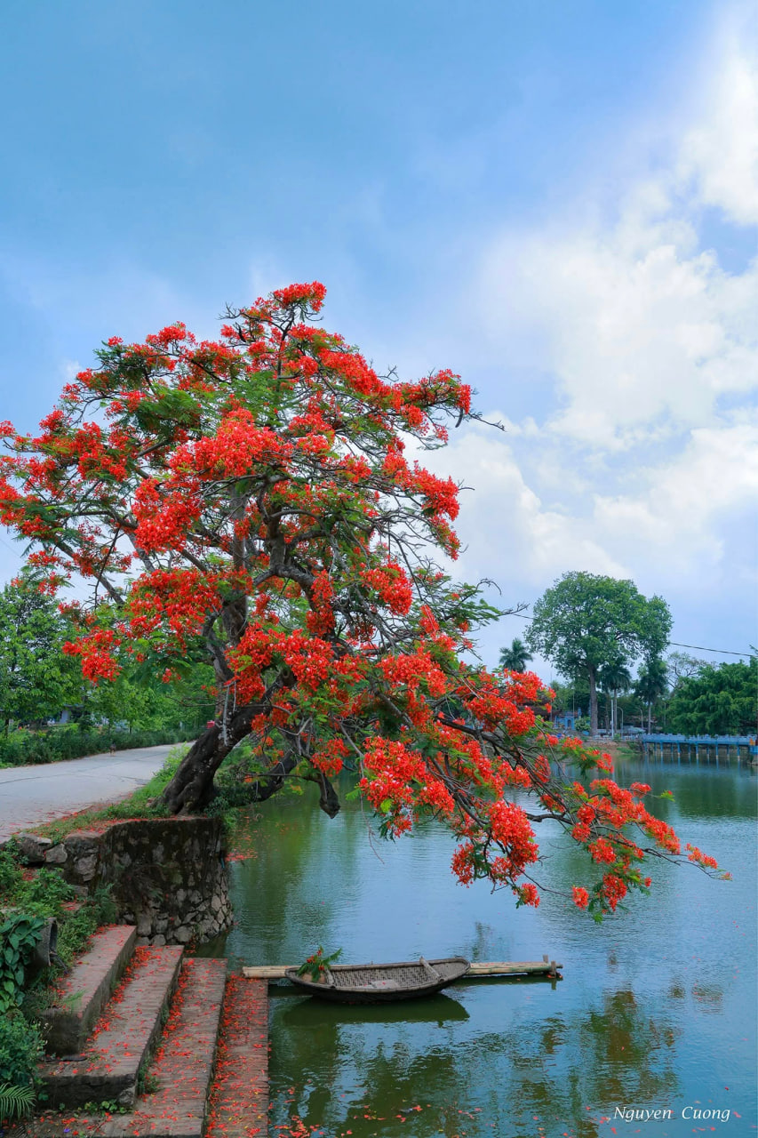 Việt Nam c&oacute; nơi kh&ocirc;ng cần d&ugrave;ng điều h&ograve;a vẫn m&aacute;t lạnh, l&agrave; nơi cất giấu 99 giếng cổ từ v&oacute; ngựa Th&aacute;nh Gi&oacute;ng - Ảnh 13.