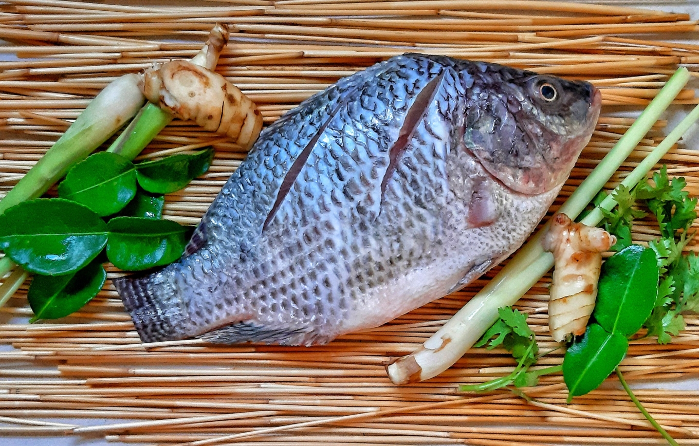 Đi chợ thấy loại c&aacute; n&agrave;y nhớ mua ngay: Bổ dưỡng ngang c&aacute; hồi m&agrave; gi&aacute; chỉ bằng 1/10- Ảnh 2.