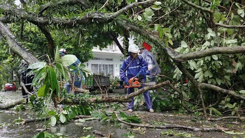Quảng Ninh thiệt hại khoảng 20 tỷ đồng do b&atilde;o số 1- Ảnh 1.