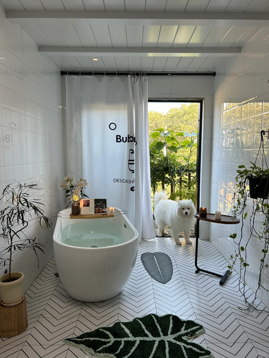 Ch&agrave;ng trai sống ở căn nh&agrave; "thay m&agrave;u 4 m&ugrave;a" với 10 con m&egrave;o, 2 con ch&oacute;- Ảnh 9.