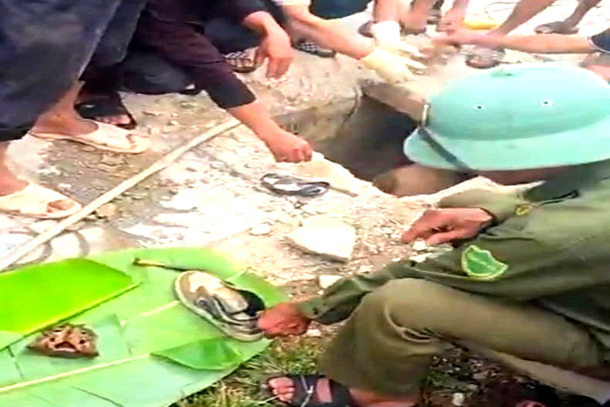 Vụ ph&aacute;t hiện hộp sọ người dưới mương nước ở Nghệ An: Đ&atilde; x&aacute;c định danh t&iacute;nh nạn nh&acirc;n- Ảnh 1.