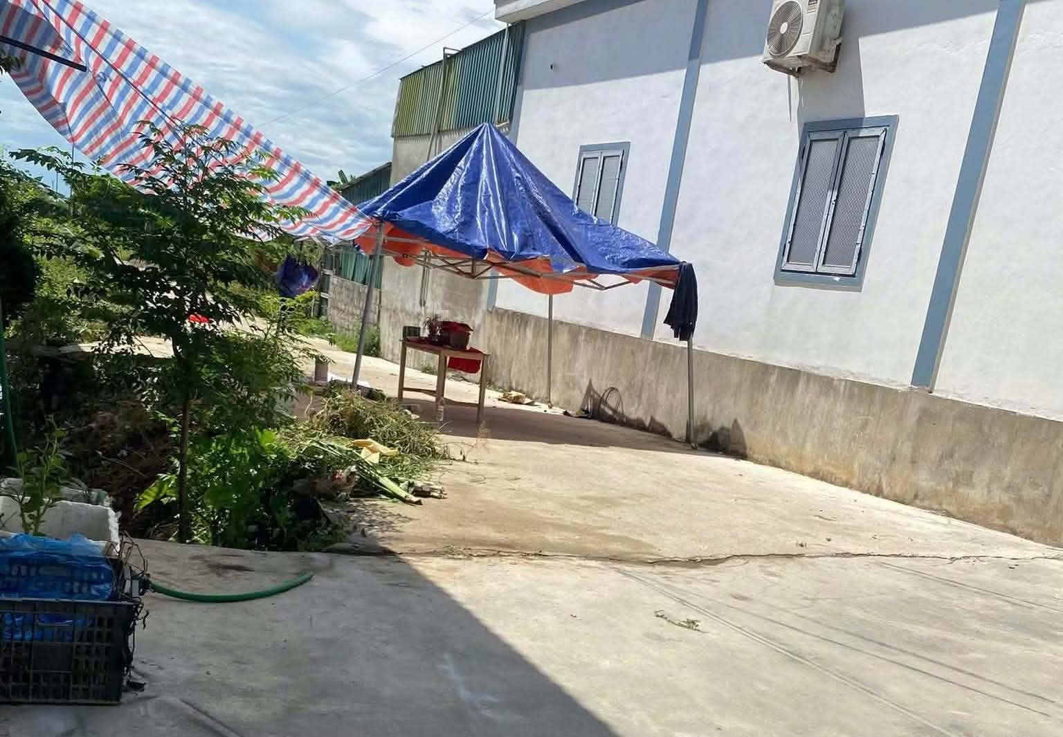 Vụ ph&aacute;t hiện hộp sọ người dưới mương nước ở Nghệ An: Đ&atilde; x&aacute;c định danh t&iacute;nh nạn nh&acirc;n- Ảnh 2.