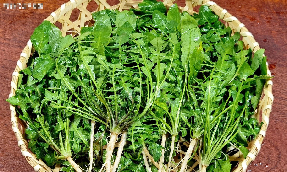 Ăn nắm rau n&agrave;y "bổ ngang thịt b&ograve;", ở qu&ecirc; mọc um t&ugrave;m, nhiều người kh&ocirc;ng biết m&agrave; bỏ qua - Ảnh 1.
