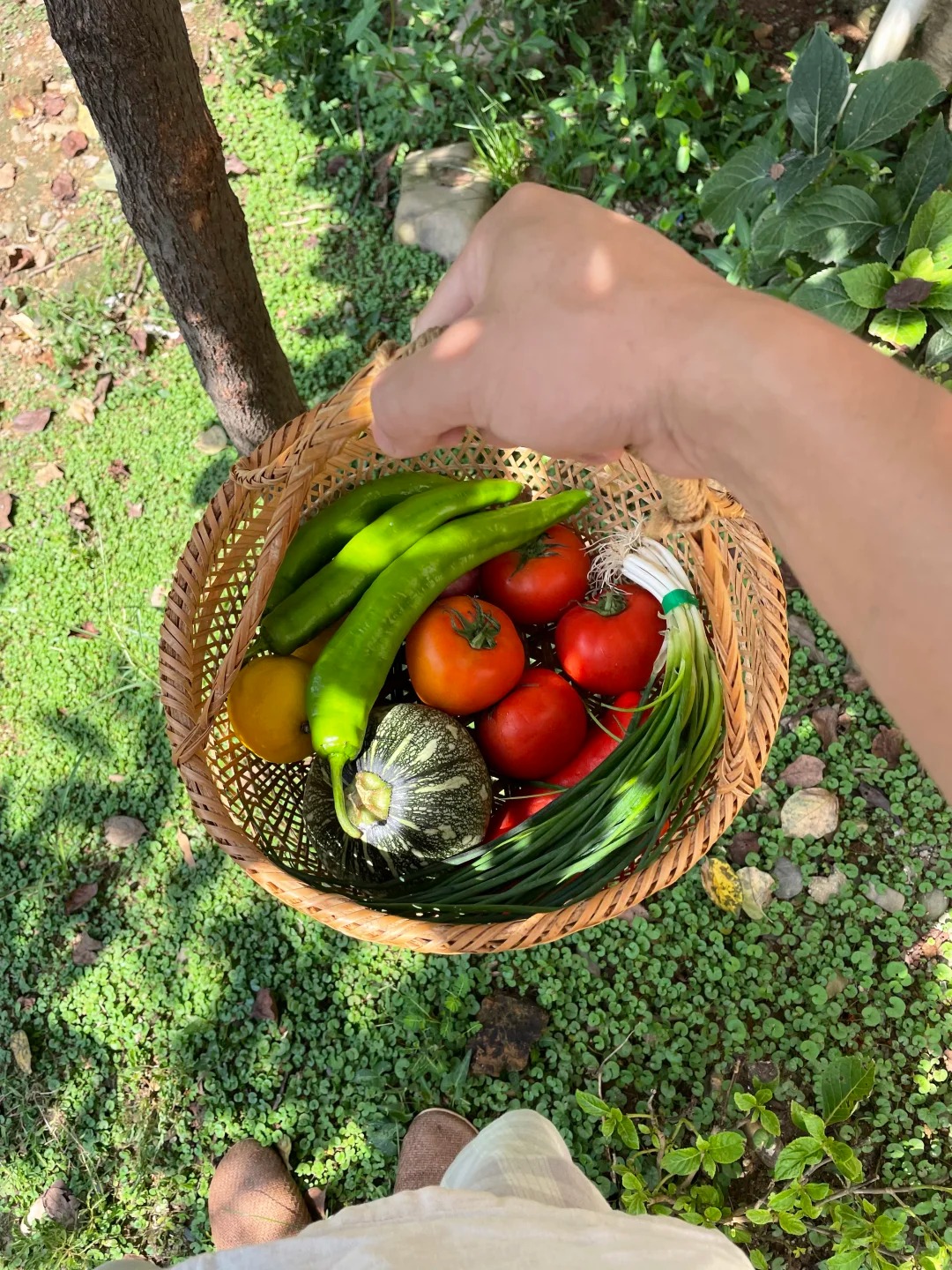 Ch&agrave;ng trai sống ở căn nh&agrave; "thay m&agrave;u 4 m&ugrave;a" với 10 con m&egrave;o, 2 con ch&oacute;- Ảnh 15.