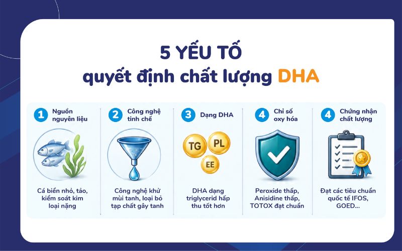 DHA không tanh có phải là DHA kém chất lượng? - Ảnh 4.