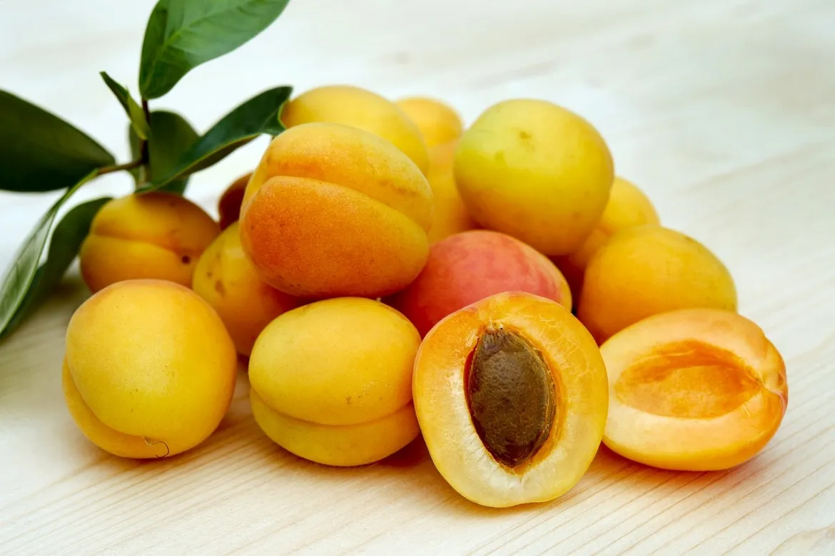 "Cực phẩm" m&ugrave;a h&egrave; từ những loại tr&aacute;i c&acirc;y vừa ngon vừa bổ - Ảnh 5.