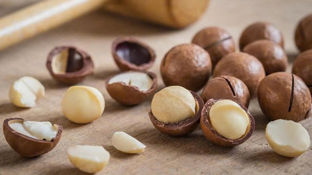 Loại hạt đắt đỏ "bậc nhất thế giới", ở Việt Nam trồng bạt ng&agrave;n - Ảnh 4.