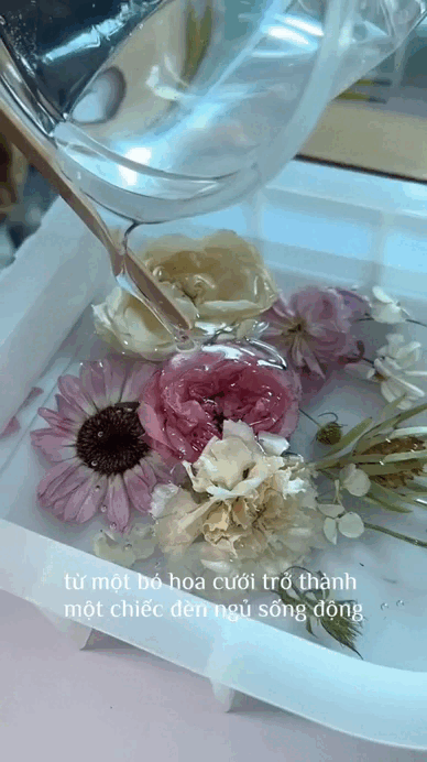Hannah Olala được khen- Ảnh 5.