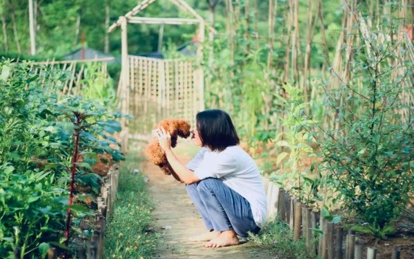 Loạt Gen Z g&acirc;y sốt khi bỏ phố về qu&ecirc;, nghi&ecirc;m t&uacute;c ứng cử trưởng th&ocirc;n- Ảnh 6.