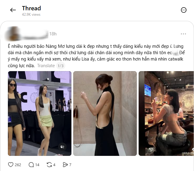 N&agrave;ng Mơ được so s&aacute;nh với Lisa- Ảnh 1.