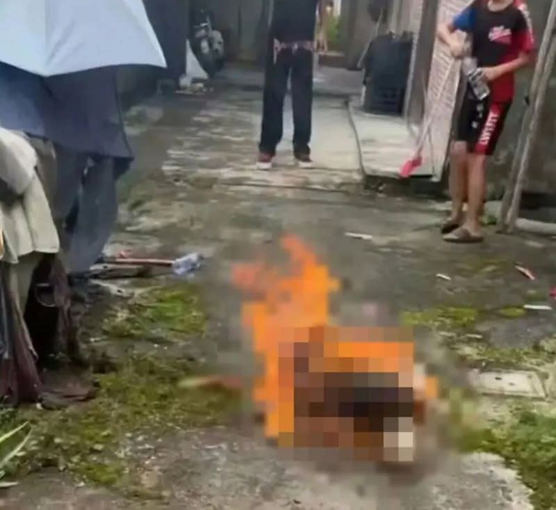 4 đứa trẻ dưới 14 tuổi gây phẫn nộ vì hành vi ngược đãi động vật, chuyên gia lên tiếng cảnh báo- Ảnh 1.