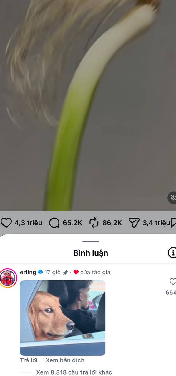 Giải m&atilde; cơn cuồng Erling Haaland - Ảnh 7.