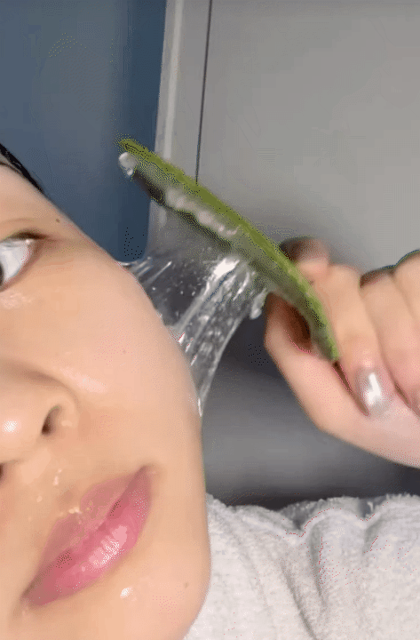 Ở Việt Nam c&oacute; một loại c&acirc;y, vừa gi&uacute;p t&oacute;c &oacute;ng mượt, vừa  k&iacute;ch th&iacute;ch tăng collagen cho da, đến phụ nữ H&agrave;n cũng tận dụng l&agrave;m đẹp mỗi tuần- Ảnh 12.