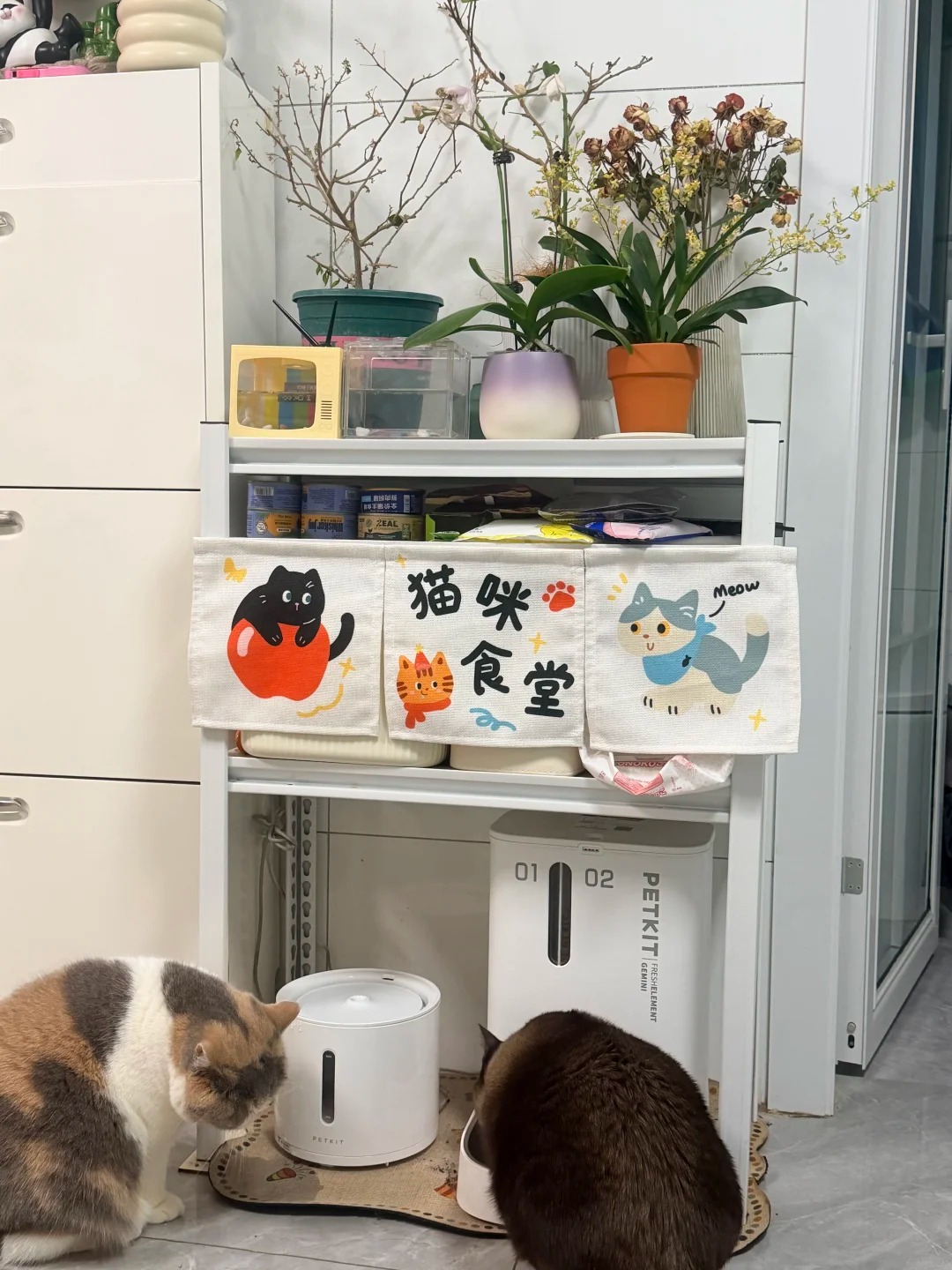 30 tuổi, mua được nh&agrave; 30m2 v&agrave; ở với 2 con m&egrave;o: "Thế l&agrave; đủ sống cả đời" - Ảnh 15.