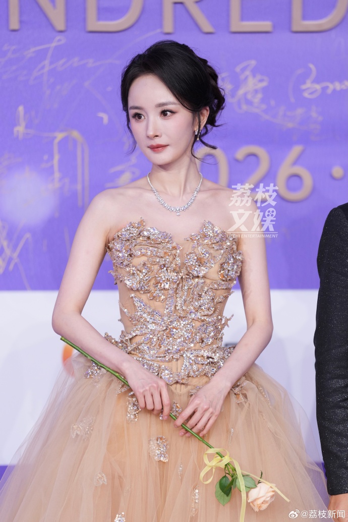 Dương Mịch lộng lẫy át vía Lưu Thi Thi, Dương Tử visual không ai tin nổi tại lễ trao giải Bách Hoa- Ảnh 3.