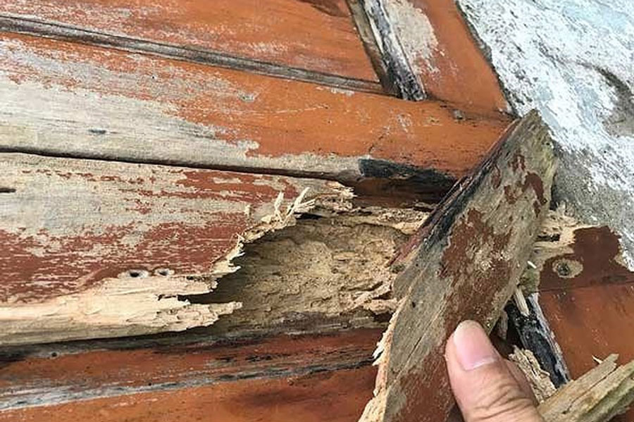 Thợ mộc l&acirc;u năm chỉ ra c&aacute;ch nhận biết cửa gỗ, tủ gỗ trong nh&agrave; bị mối, mọt nghi&ecirc;m trọng: Nhiều người từng thấy nhưng lại bỏ qua - Ảnh 1.