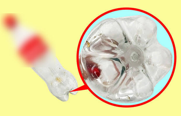 V&igrave; sao đ&aacute;y chai nước lu&ocirc;n lồi l&otilde;m kỳ lạ? H&oacute;a ra kh&ocirc;ng phải để trang tr&iacute;- Ảnh 1.