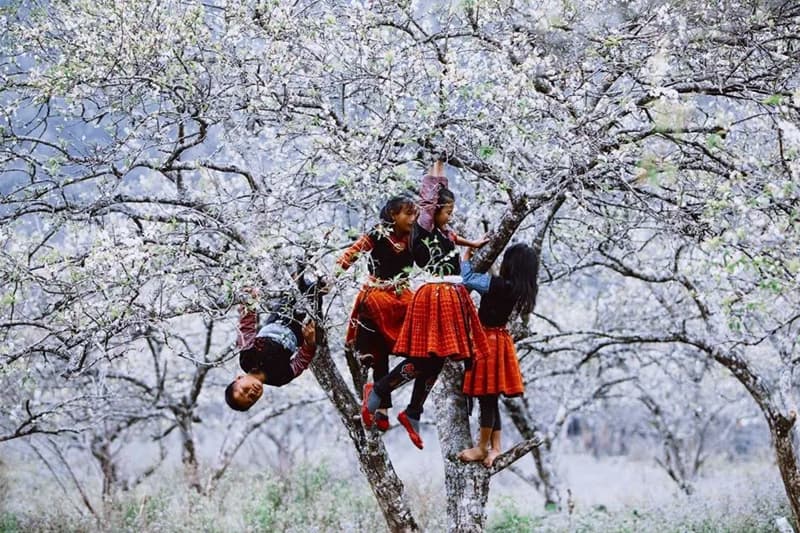 Kh&ocirc;ng phải Sa Pa, 'thi&ecirc;n đường săn m&acirc;y' Việt Nam lần đầu được thế giới gọi t&ecirc;n: S&aacute;nh vai Nhật Bản - Ảnh 4.