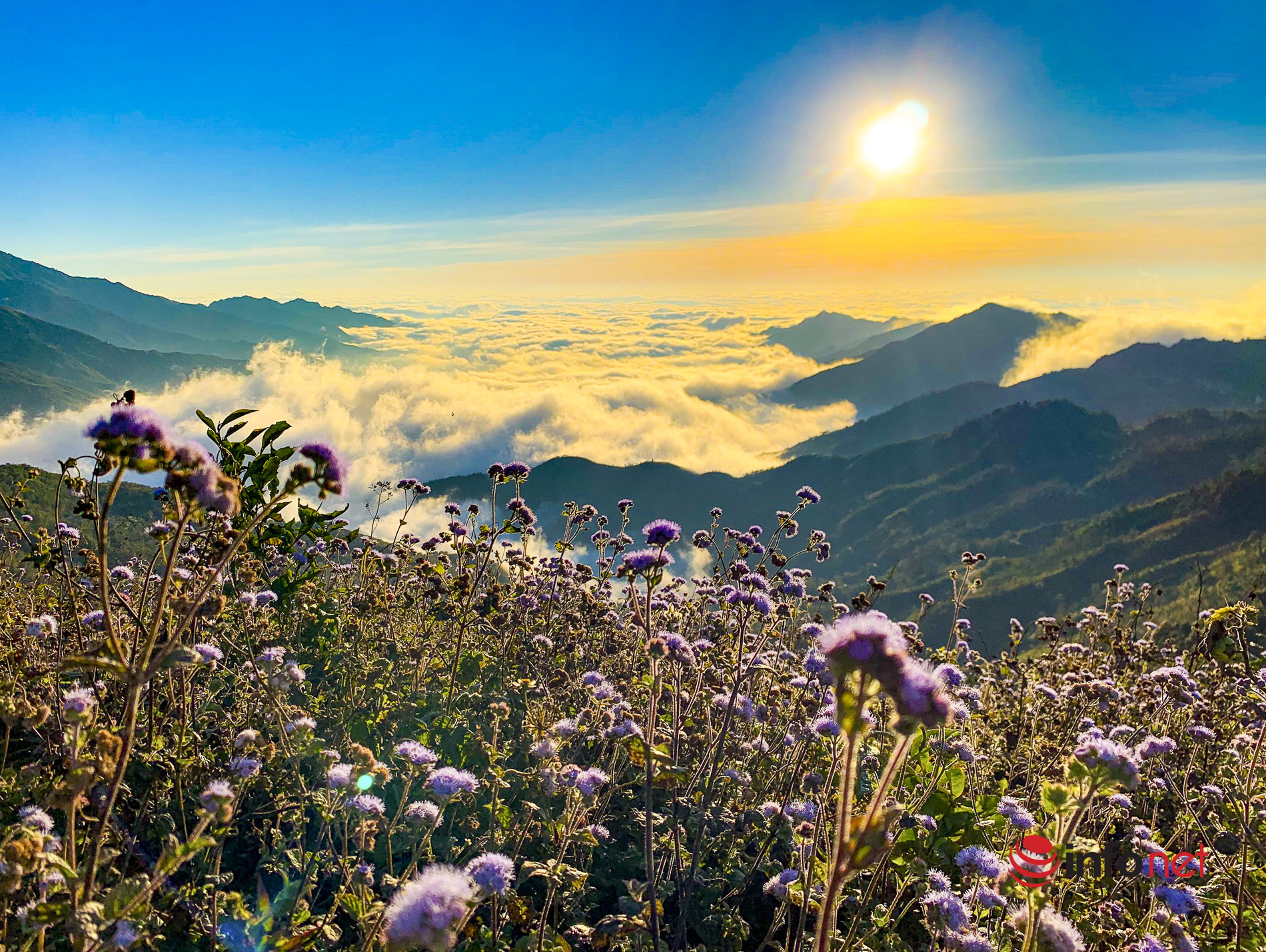 Kh&ocirc;ng phải Sa Pa, 'thi&ecirc;n đường săn m&acirc;y' Việt Nam lần đầu được thế giới gọi t&ecirc;n: S&aacute;nh vai Nhật Bản - Ảnh 1.