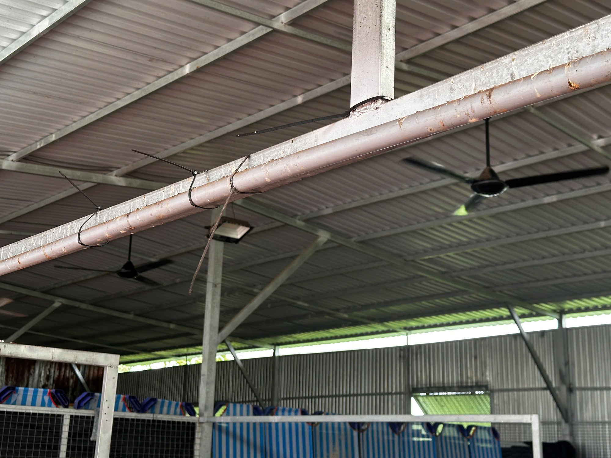 Suy thận giai đoạn 4, tim đập 37 lần/phút, từng điều trị ung thư: Người mẹ 56 tuổi ở lại vì 400 "đứa con"- Ảnh 7.