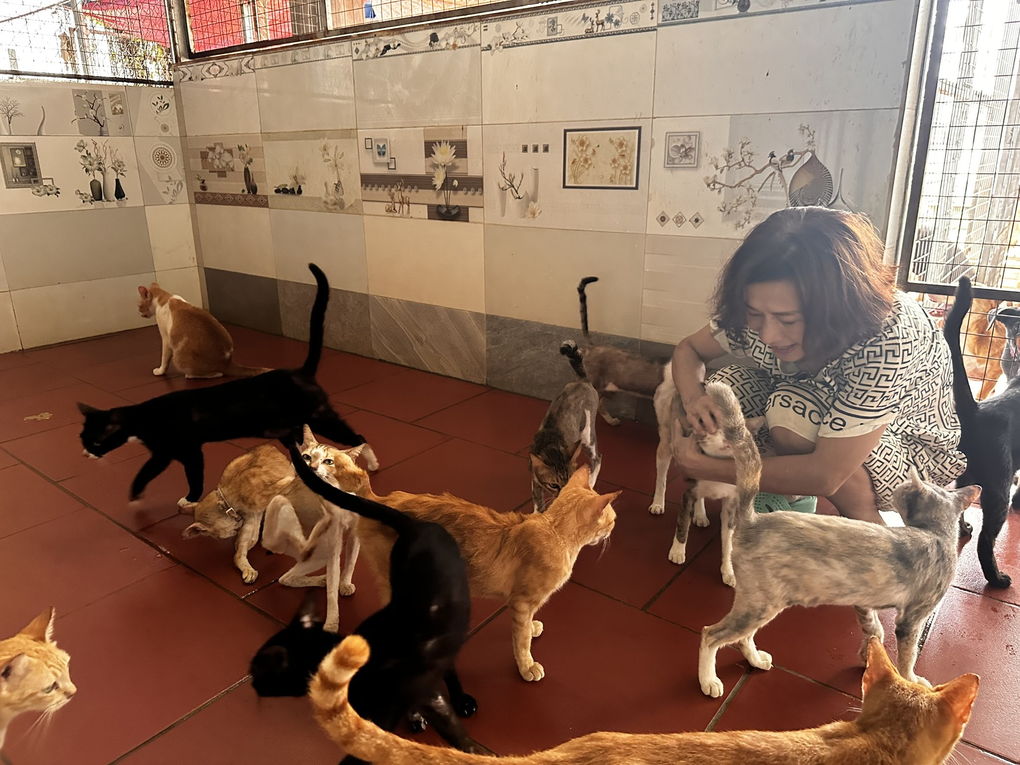 Suy thận giai đoạn 4, tim đập 37 lần/phút, từng điều trị ung thư: Người mẹ 56 tuổi ở lại vì 400 "đứa con"- Ảnh 6.