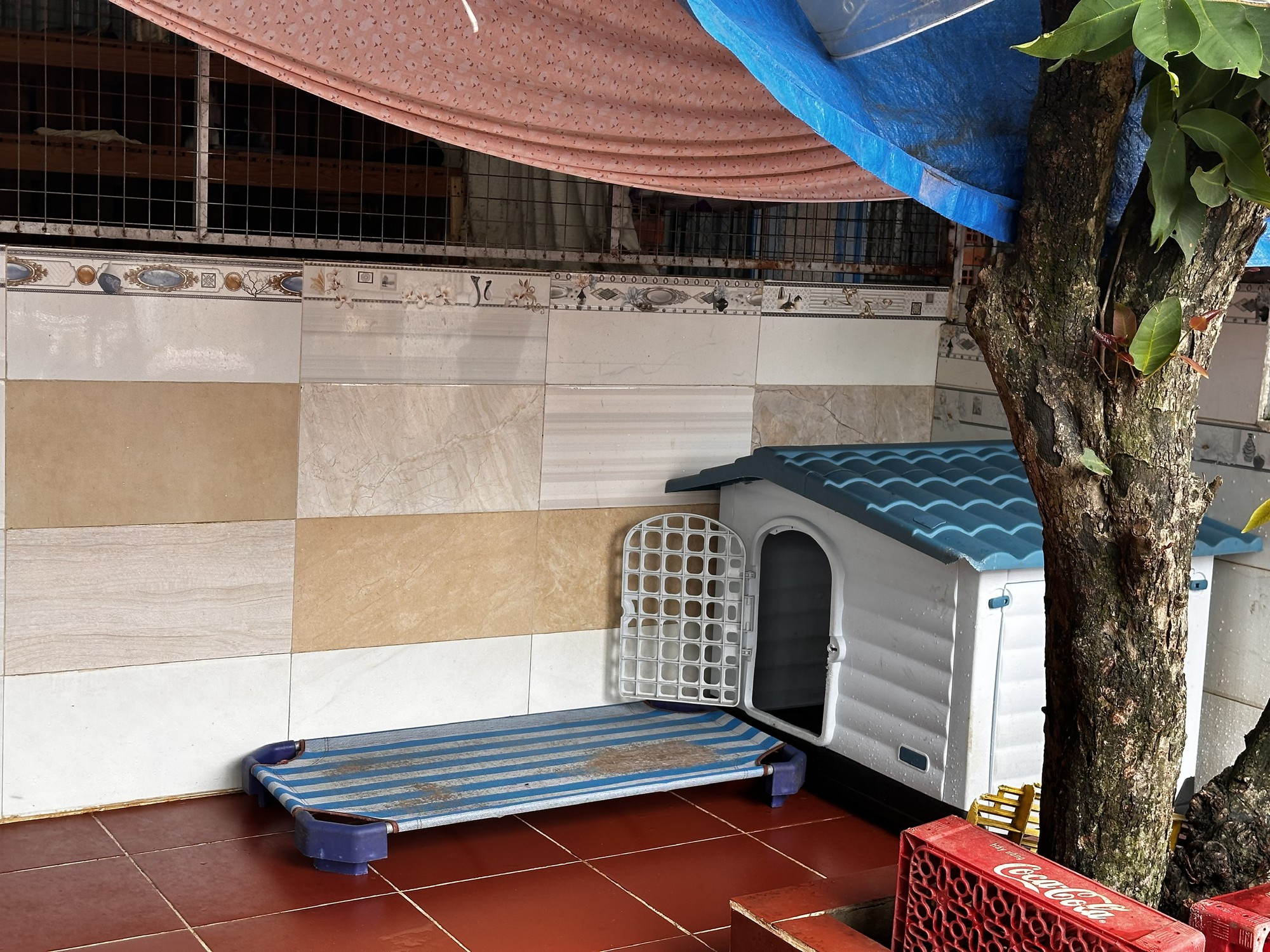 Suy thận giai đoạn 4, tim đập 37 lần/phút, từng điều trị ung thư: Người mẹ 56 tuổi ở lại vì 400 "đứa con"- Ảnh 9.