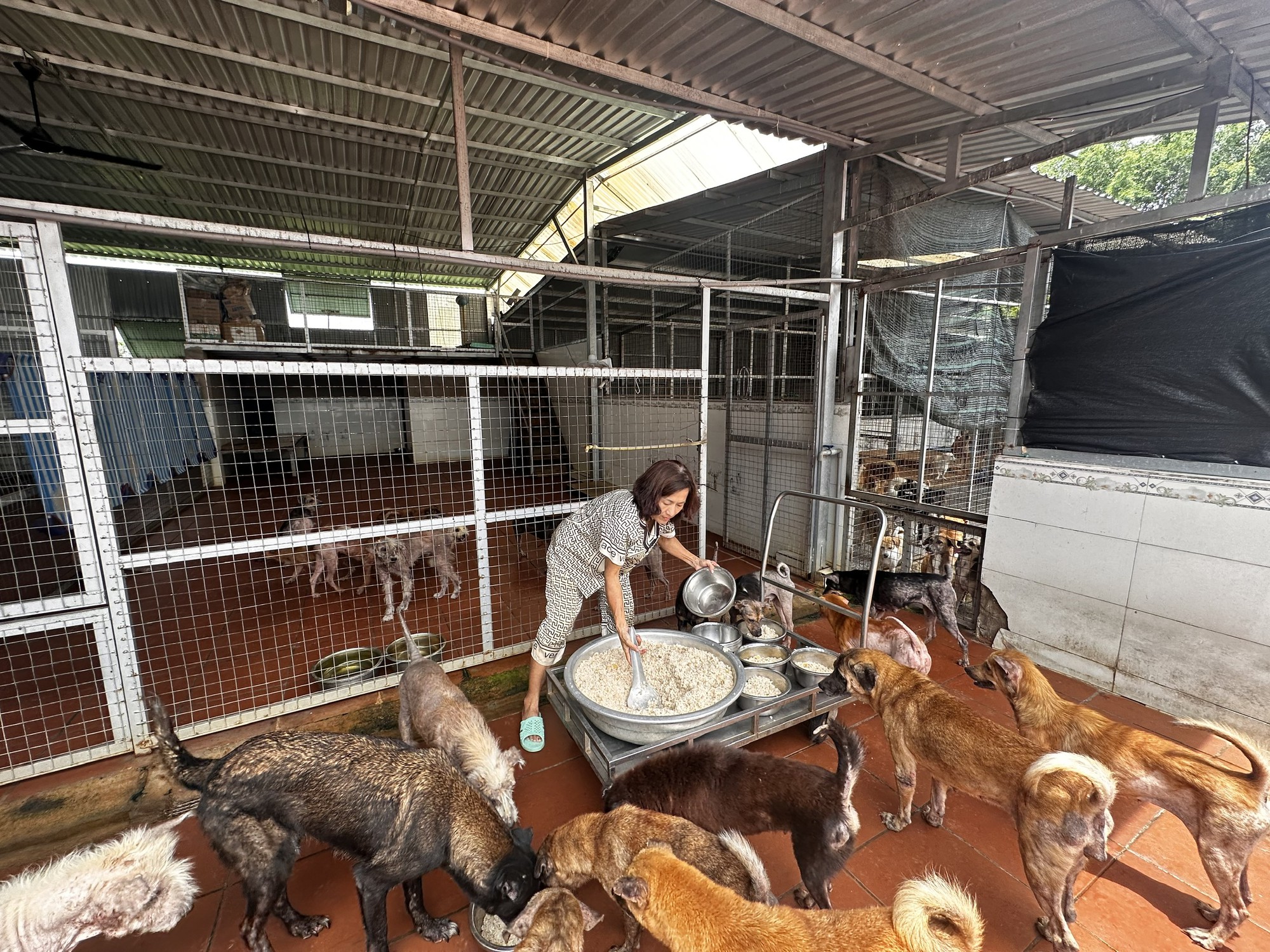 Suy thận giai đoạn 4, tim đập 37 lần/phút, từng điều trị ung thư: Người mẹ 56 tuổi ở lại vì 400 "đứa con"- Ảnh 14.