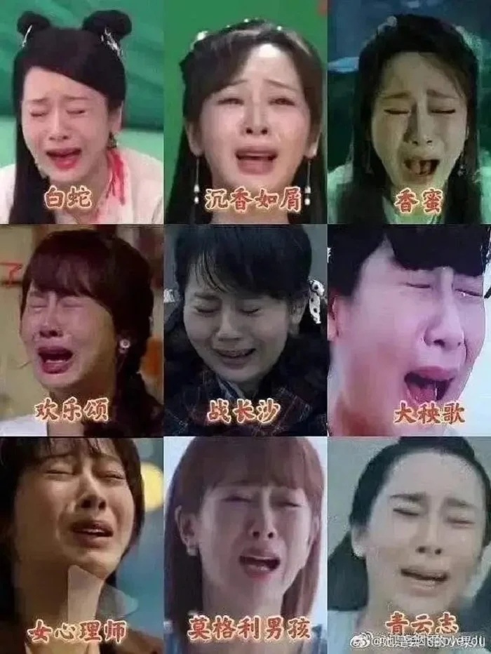 Mỹ nh&acirc;n 2004 dạy cho Dương Tử, Địch Lệ Nhiệt Ba một b&agrave;i học- Ảnh 4.