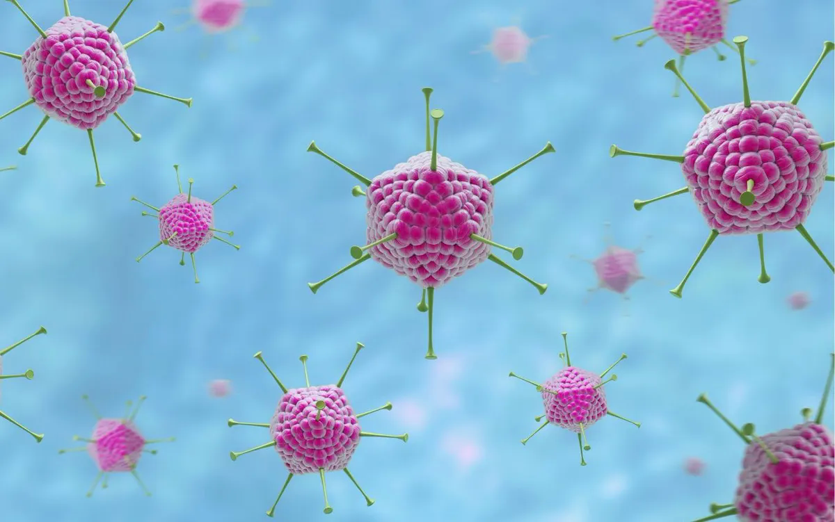 V&igrave; sao bệnh do virus Adeno dễ l&acirc;y lan trong m&ugrave;a h&egrave;? - Ảnh 1.