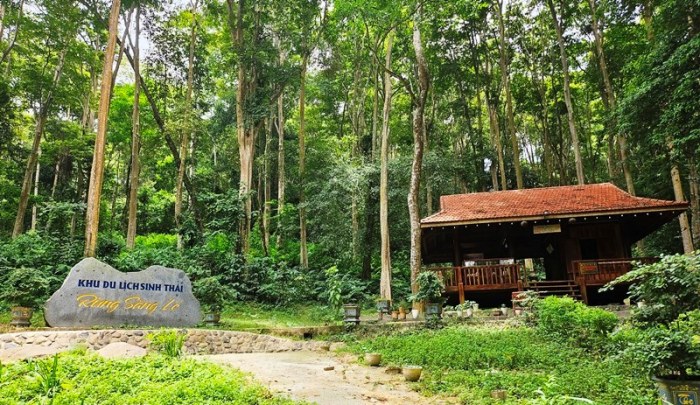 Ph&aacute;t hiện khu rừng nằm s&aacute;t quốc lộ ở nơi giữ kỷ lục &ldquo;n&oacute;ng nhất Việt Nam&rdquo;: Nhiều th&acirc;n c&acirc;y cao h&agrave;ng chục m&eacute;t mọc thẳng tắp, đổi m&agrave;u theo m&ugrave;a - Ảnh 1.