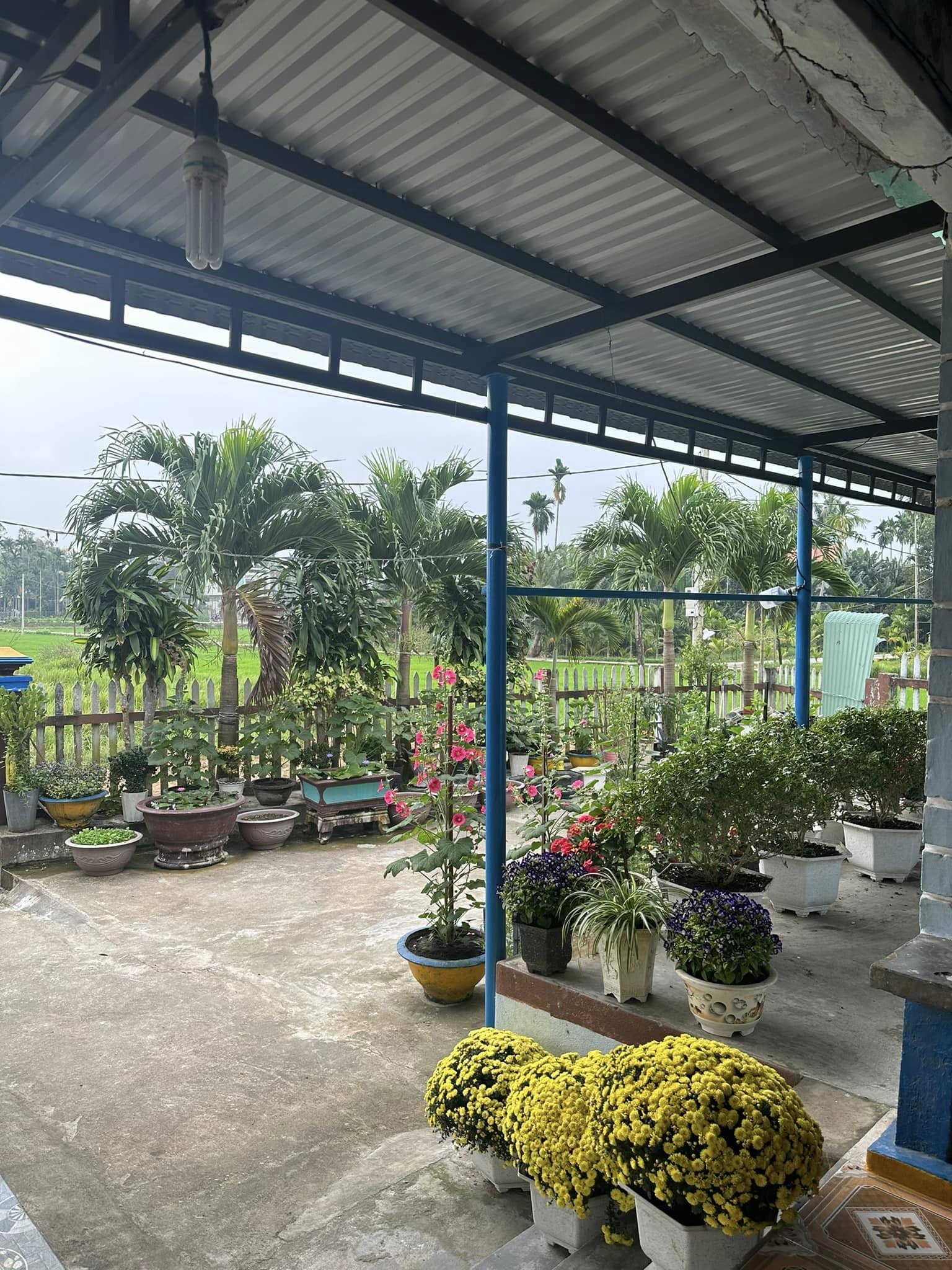 Căn nh&agrave; ở qu&ecirc; của Lona Kiều Loan- Ảnh 2.