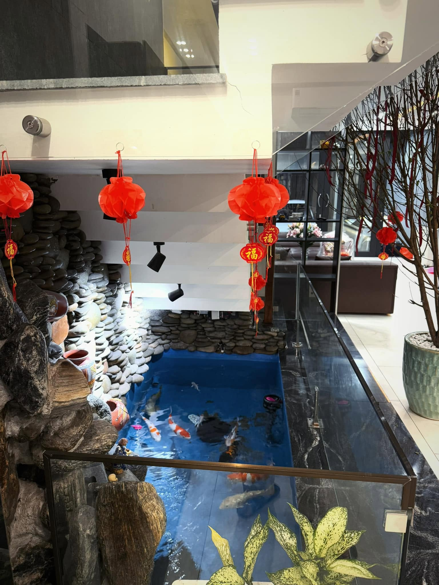 Cử nh&acirc;n Luật cưới "người h&ugrave;ng Thường Ch&acirc;u": Giờ ở nh&agrave; b&aacute;n c&agrave; ph&ecirc;, x&acirc;y nh&agrave; lầu khu trung t&acirc;m- Ảnh 8.