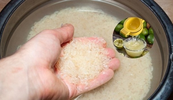 Khi nấu cơm chỉ cần th&ecirc;m v&agrave;i giọt nước n&agrave;y, điều bất ngờ sẽ xảy ra khi cơm ch&iacute;n - Ảnh 1.