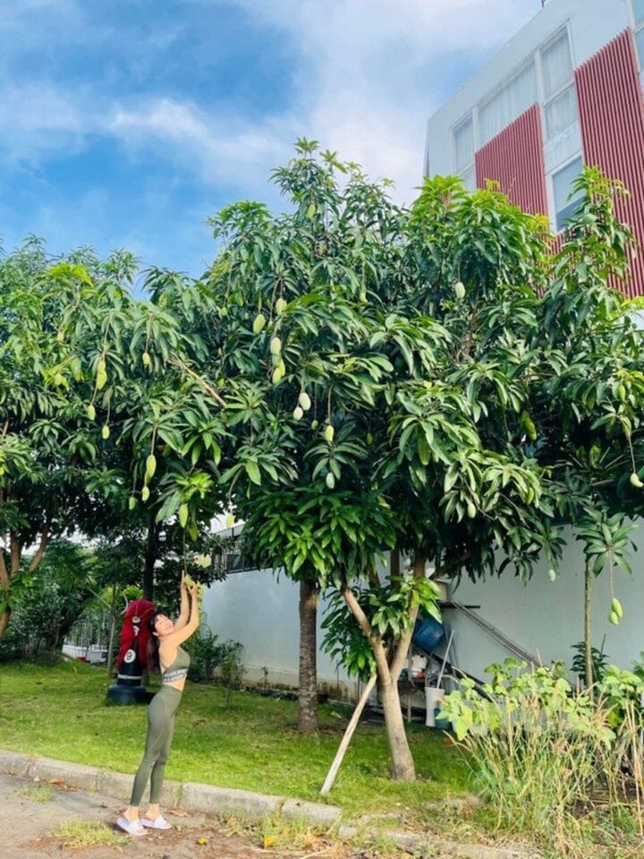Căn nh&agrave; ở Việt Nam của Ốc Thanh V&acirc;n- Ảnh 3.