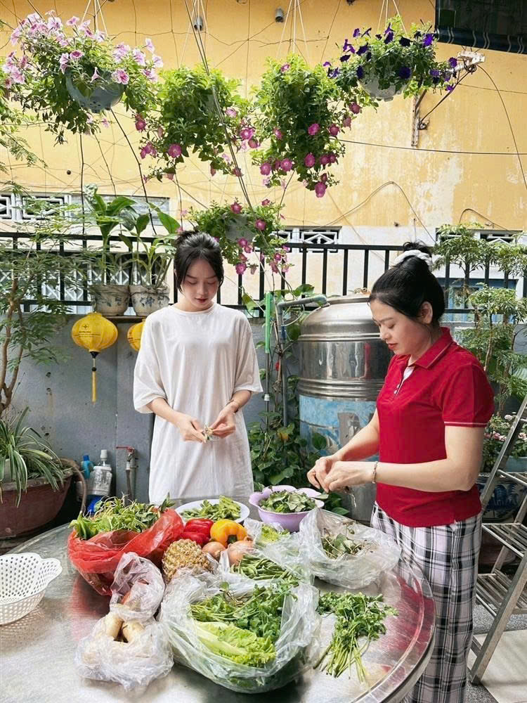 Căn nh&agrave; ở qu&ecirc; của Hoa hậu Thanh Thủy- Ảnh 5.