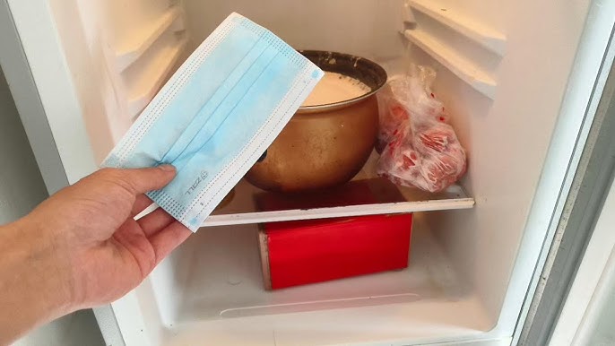 L&yacute; do n&ecirc;n đặt một chiếc khẩu trang y tế v&agrave;o tủ lạnh- Ảnh 1.