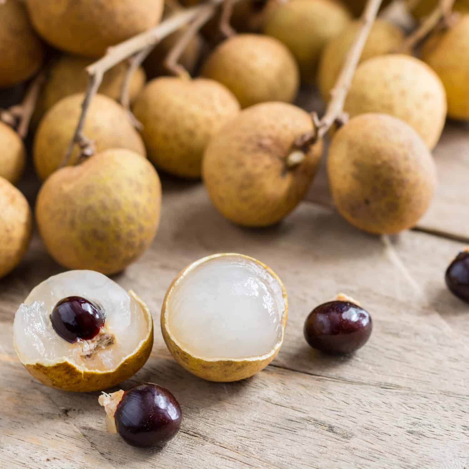 4 l&yacute; do v&igrave; sao n&ecirc;n trồng một c&acirc;y nh&atilde;n trong s&acirc;n nh&agrave; - Ảnh 1.