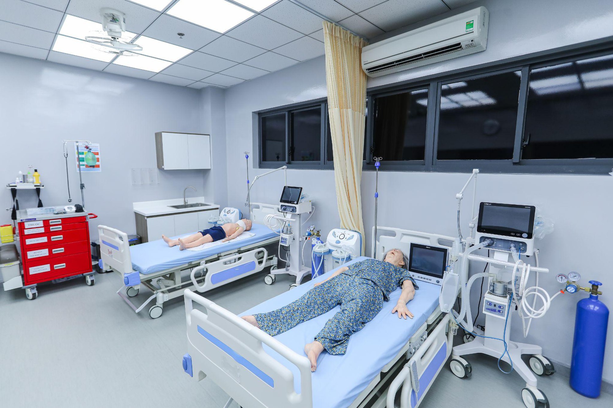 Nữ thủ khoa Văn Lang và hành trình phía sau những nụ cười - Ảnh 5.