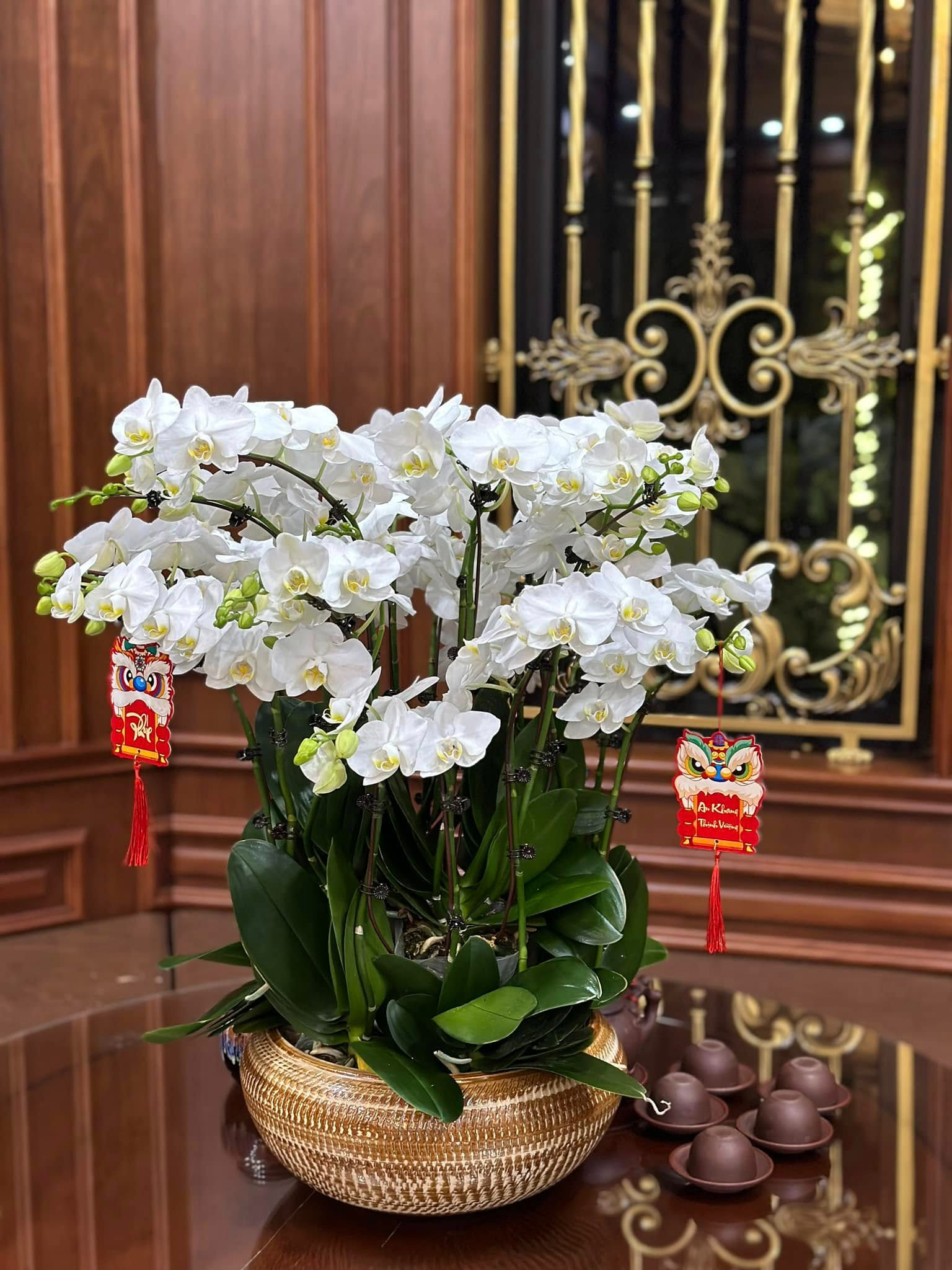 Căn nh&agrave; ở qu&ecirc; của Văn To&agrave;n- Ảnh 7.
