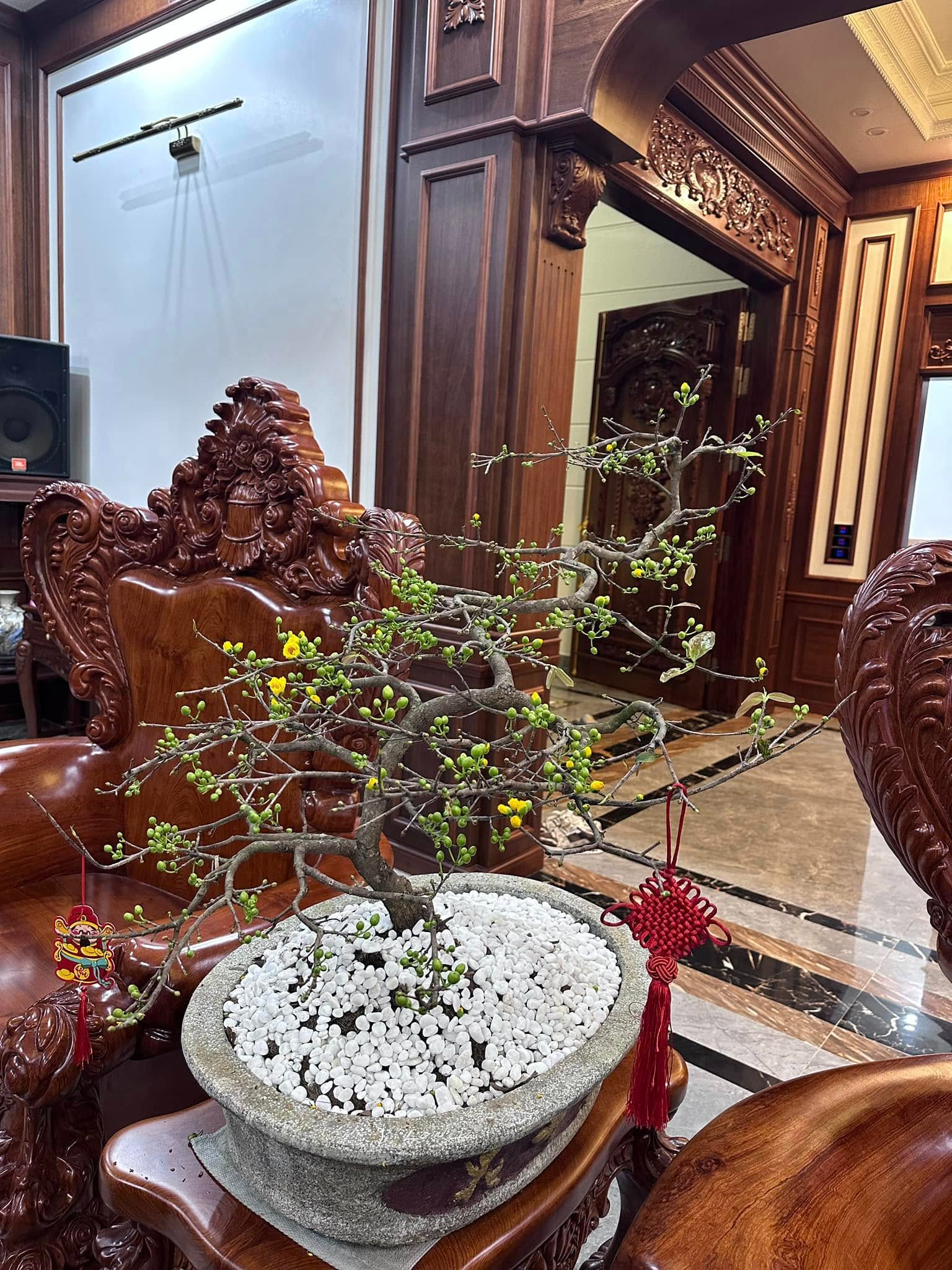 Căn nh&agrave; ở qu&ecirc; của Văn To&agrave;n- Ảnh 6.
