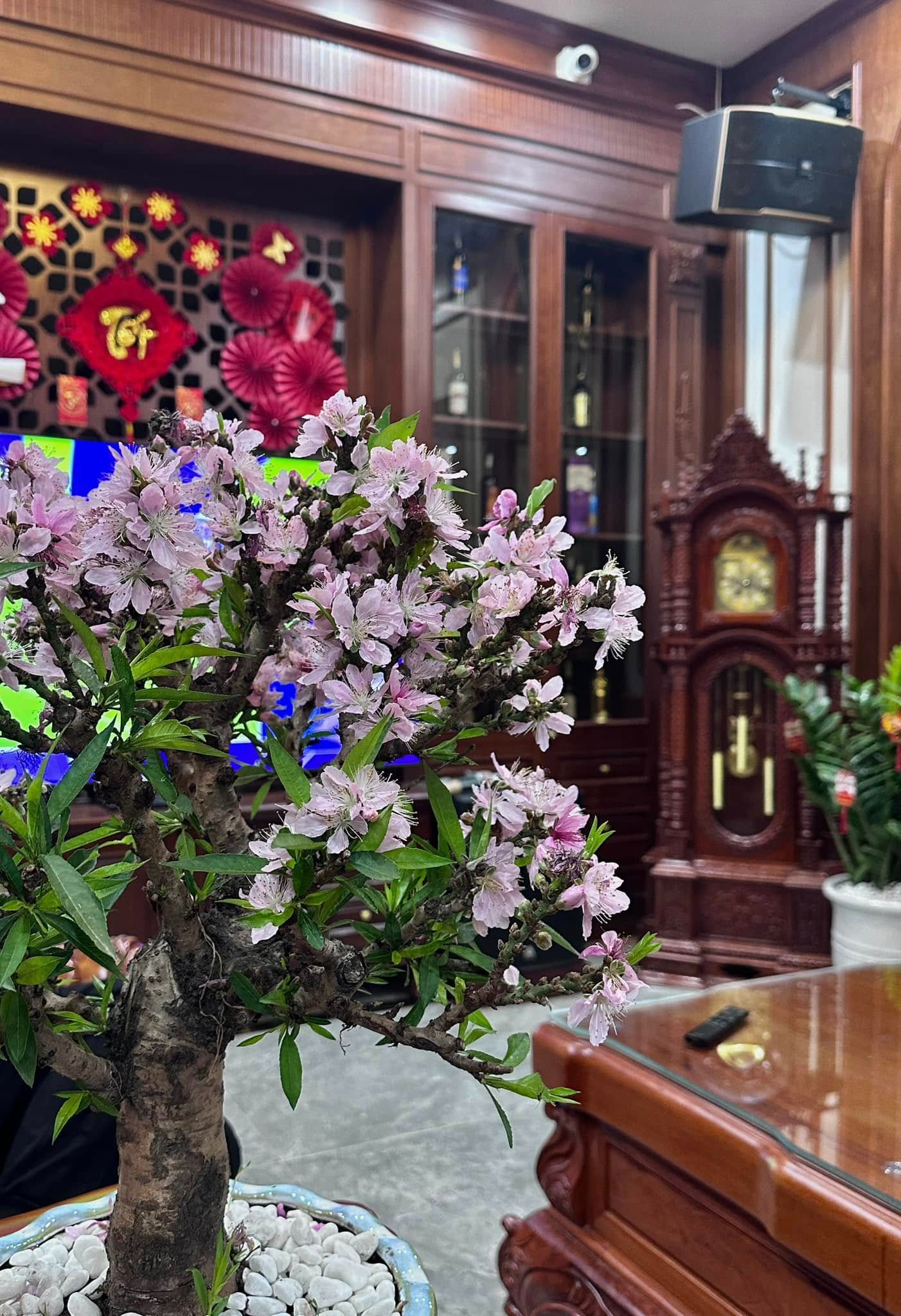 Căn nh&agrave; ở qu&ecirc; của Văn To&agrave;n- Ảnh 5.