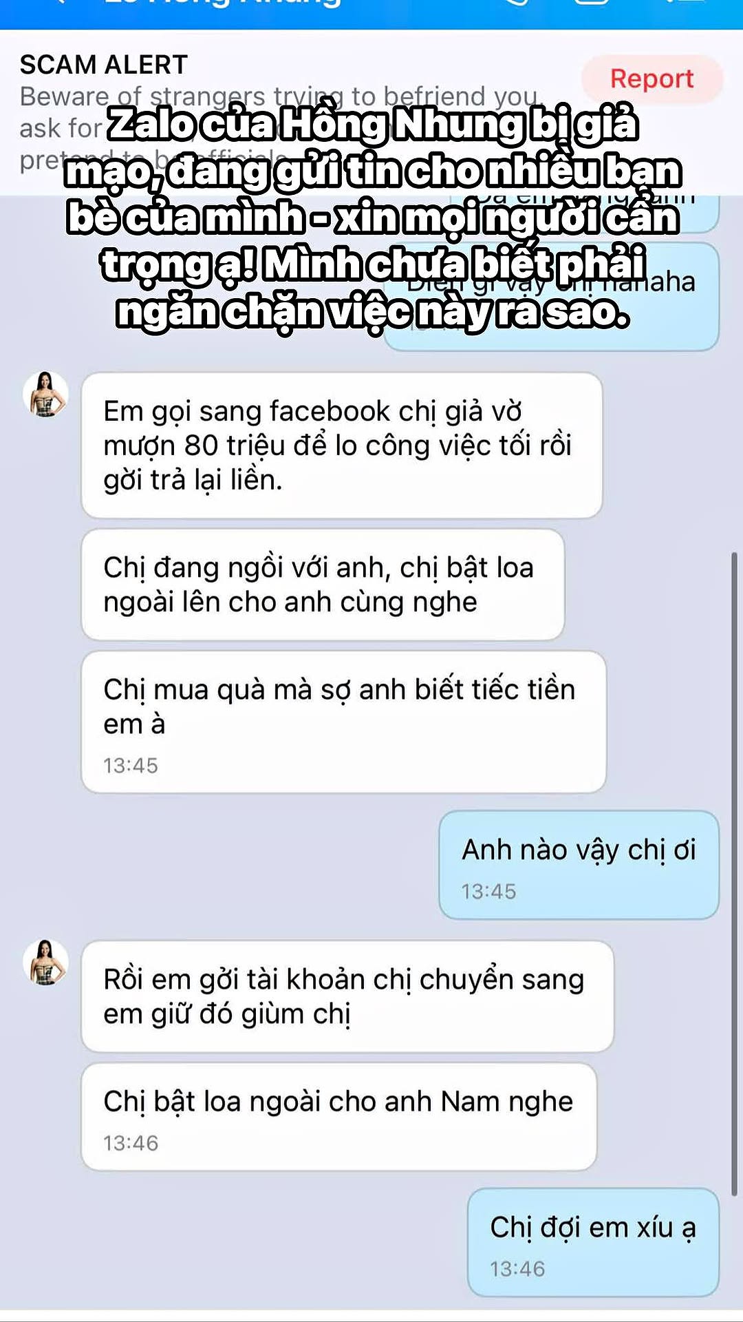 Diva Hồng Nhung th&ocirc;ng b&aacute;o khẩn- Ảnh 1.