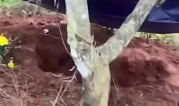 Bắt giam kẻ giết nữ nh&acirc;n vi&ecirc;n thư viện rồi phi tang thi thể ở Đắk Lắk- Ảnh 2.