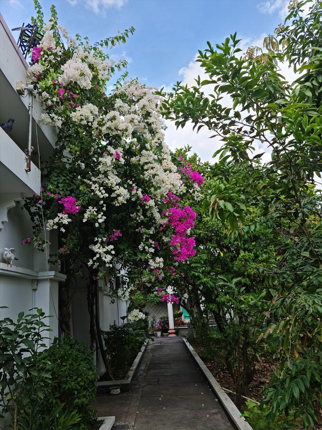 Nh&agrave; vườn rộng 3.000m2 của người đẹp T&acirc;y Đ&ocirc; Việt Trinh- Ảnh 9.