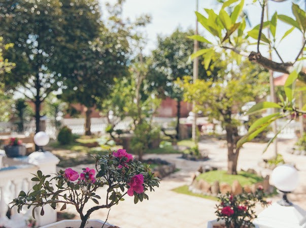 Biệt phủ 10.000 m&sup2; ở qu&ecirc; của L&yacute; Nh&atilde; Kỳ- Ảnh 3.