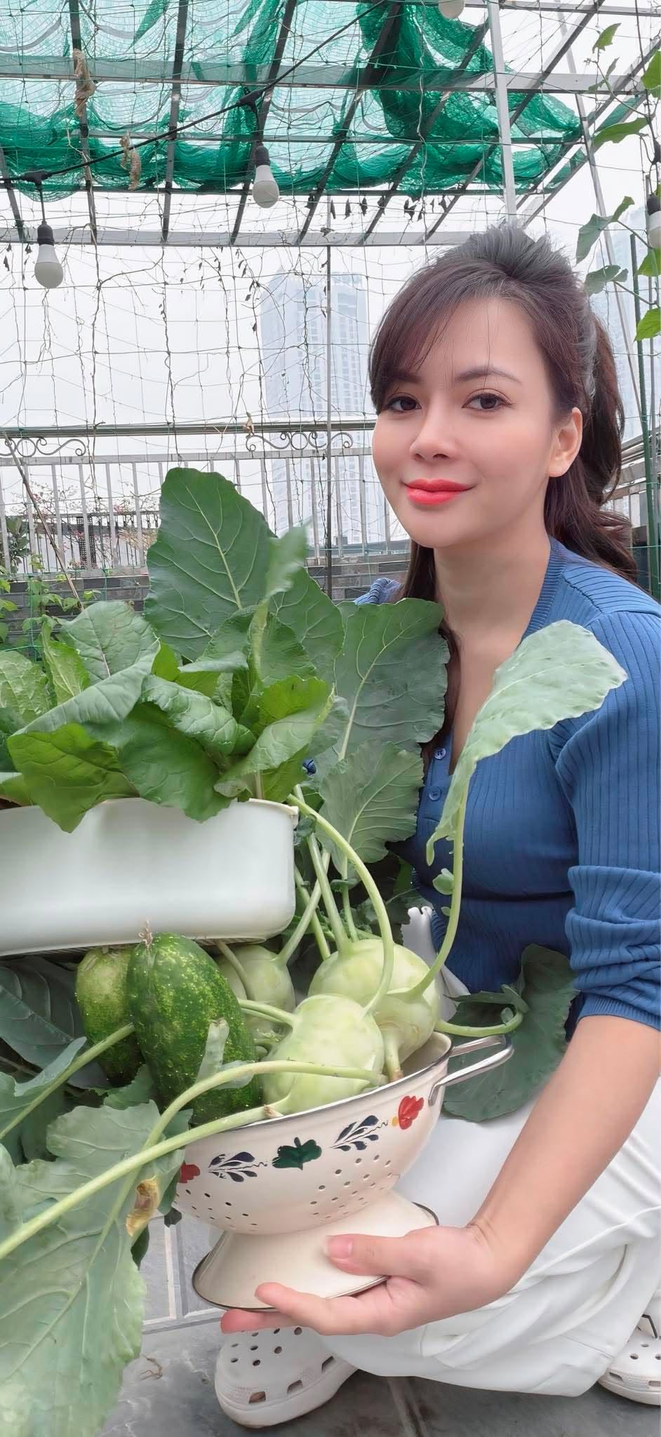 Nữ bác sĩ U40 sáng khám bệnh, tối trồng rau phủ kín sân thượng: Thứ nhận được vượt xa tưởng tượng- Ảnh 5.