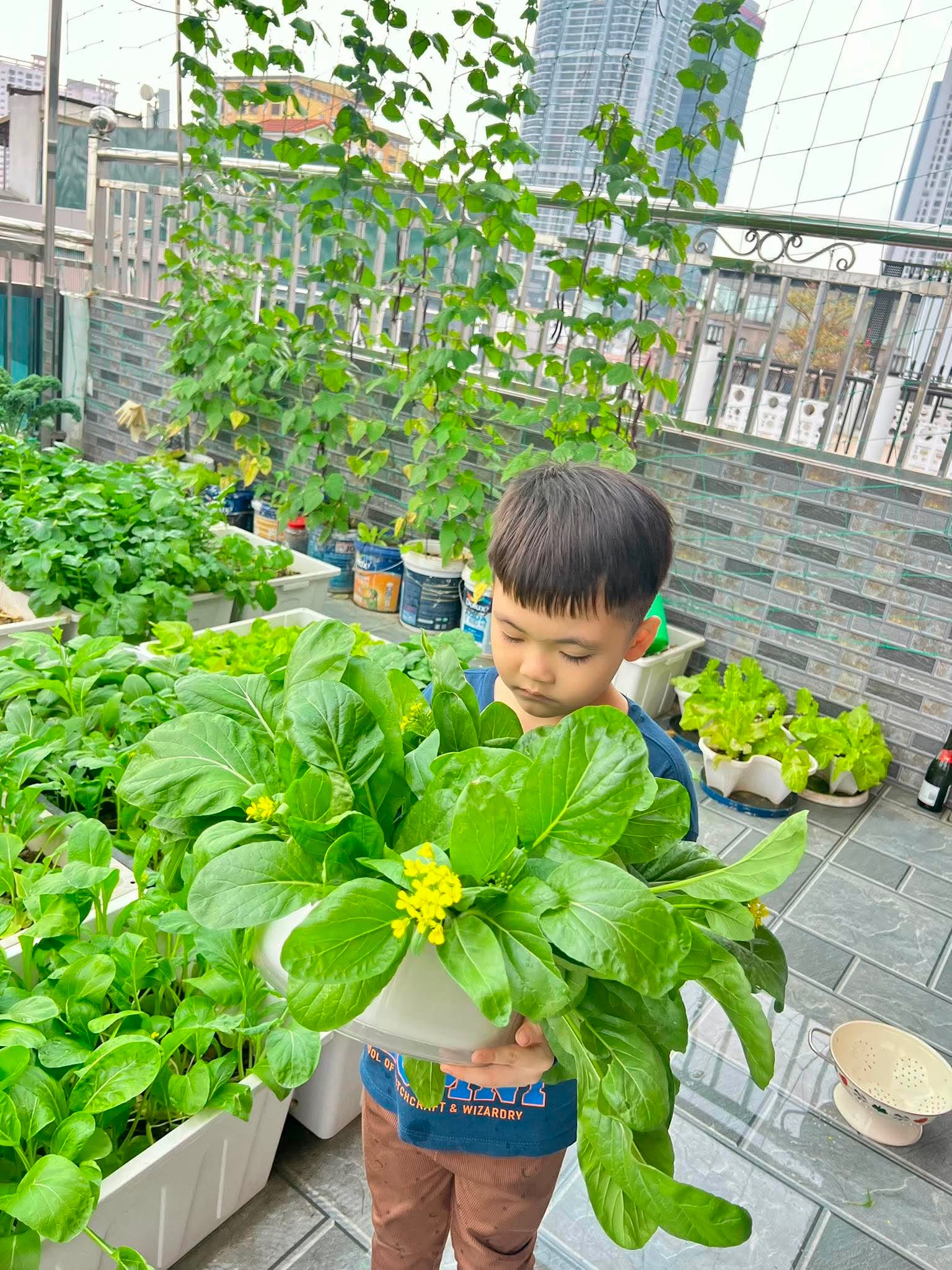Nữ bác sĩ U40 sáng khám bệnh, tối trồng rau phủ kín sân thượng: Thứ nhận được vượt xa tưởng tượng- Ảnh 12.