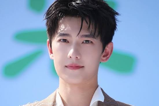 Mỹ nh&acirc;n khiến d&agrave;n nam thần ch&acirc;u &Aacute; đổ gục: Lee Min Ho ước được "n&ecirc;n duy&ecirc;n", Dương Dương - Huỳnh Hiểu Minh say đắm- Ảnh 11.