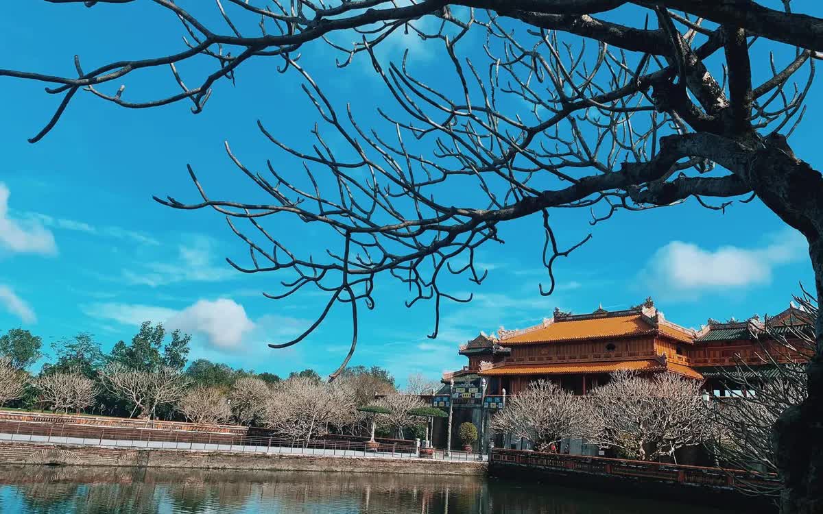 Huế miễn v&eacute; c&aacute;c điểm tham quan thuộc quần thể di t&iacute;ch cố đ&ocirc; Huế trong 2 ng&agrave;y 19.8 v&agrave; 2.9 - Ảnh 1.